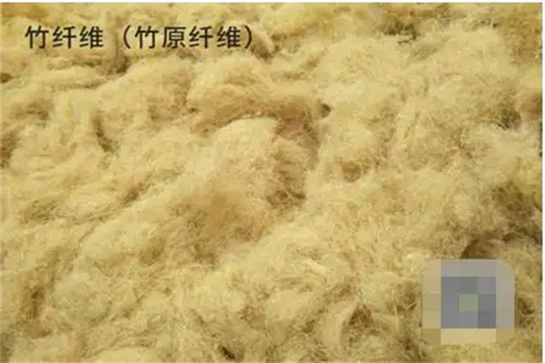 圖片文字說明