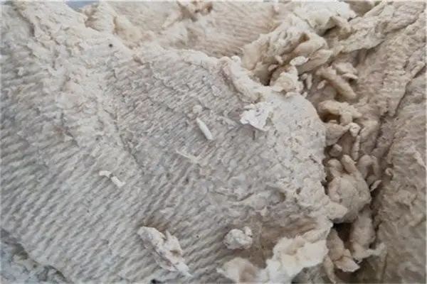 什么是紙漿？未來發(fā)展前景如何？